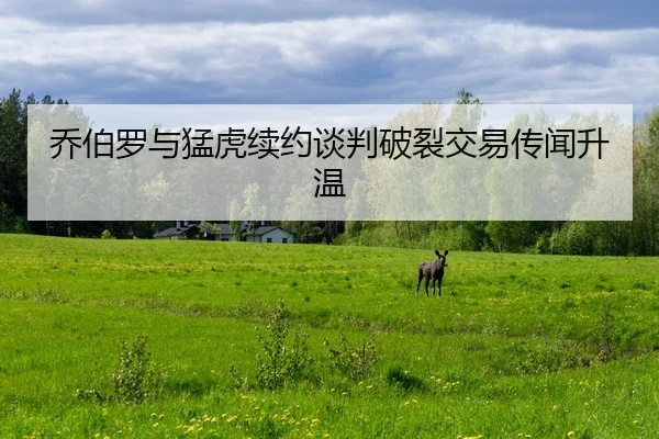 乔伯罗与猛虎续约谈判破裂交易传闻升温